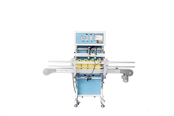 Good price Linear Type Plastic Empty Bottle Leak Tester For Two Workstation With Servo Control online